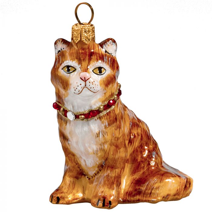 Maine Coon Red Cat with Swarovski Crystal Collar