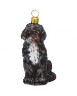 Portuguese Water Dog Brown