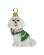 Maltese in Pink and Green Sweater - Only 1 Available!