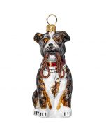 American Staffordshire Terrier Brindle with Leash