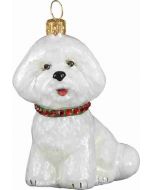 Bichon Frise With Red & Green Collar