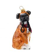 Boxer with Floppy Ears & Leash