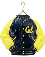 California Varsity Jacket - Now on Clearance!