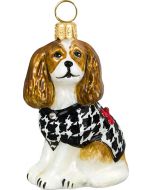 Cavalier King Blenheim with Hounds Tooth Coat