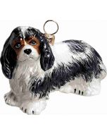 Cavalier King Charles - Tricolor
