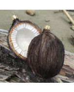 Coconut - Now on Clearance!