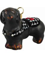 Dachshund Black with Hounds Tooth Coat