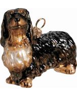 Dachshund Longhaired