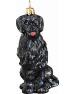 Flat Coated Retriever SOLD OUT!