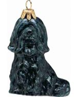 Havanese Black