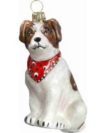 Jack Russell Terrier with Bandana