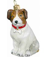Jack Russell Terrier with Dog Bone Collar