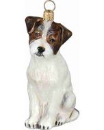 Jack Russell Terrier Rough Coat