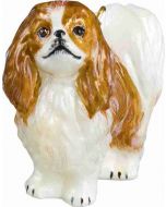 Japanese Chin Red and White