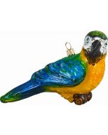 Parrot - Blue & Yellow Macaw