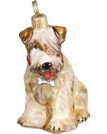 Soft Coated Wheaten Terrier with Dog Bone Collar 