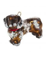 Dachshund Red - Snowy Version