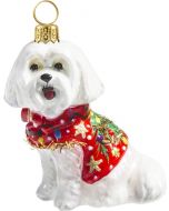 Maltese in Ugly Christmas Sweater