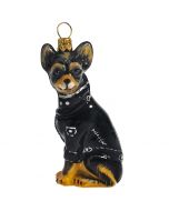 Chihuahua Tri Color in Black Motorcycle Jacket