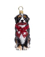 Bernese Mountain Dog with Scarf & Crystal Flying Disc