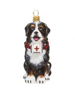 Bernese Mountain Dog with First Aid Kit