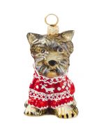 Yorkshire Terrier in Nordic Sweater