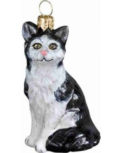 American Shorthair Black & White Allegra Cat- Only On JTTW!
