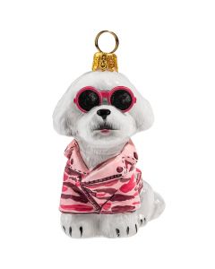 Bichon Frise in Pink Camo Jacket & Sunglasses