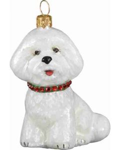 Bichon Frise With Red & Green Collar