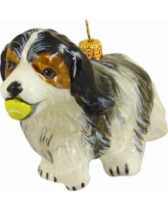 Cavalier King Charles Tri Color with Tennis Ball - Now on Clearance!