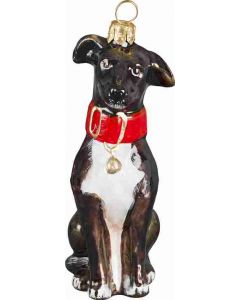 Greyhound Brown and White