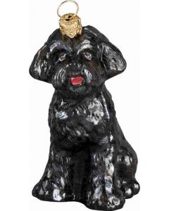 Schnoodle Black
