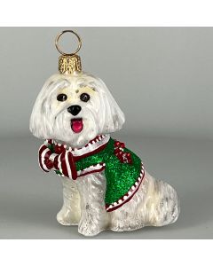 Maltese with Candy Cane