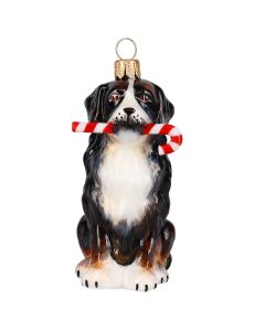 Bernese Mt Dog with Candy Cane - NEW FOR 2025