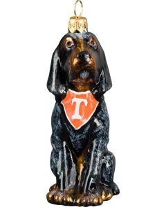 Coonhound Black and Tan with "T" Bandana- Now On Clearance!