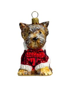 Yorkshire Terrier with Candy Cane Sweater