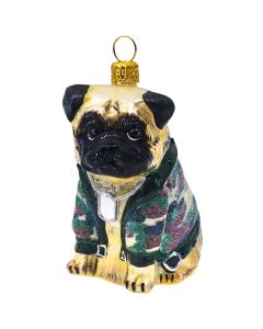 Pug Fawn in Camo and Dog Tags