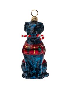 Black Lab with Candy Cane and Tartan Plaid Coat - NEW!