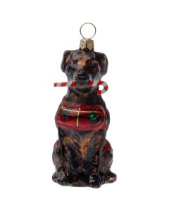 Chocolate Lab with Candy Cane and Tartan Plaid Coat - NEW!