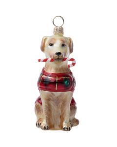 Yellow Lab with Candy Cane and Tartan Plaid Coat - NEW!