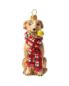 Yellow Lab with Bushy Scarf and Chew Toy - NEW!