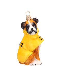 Boxer in Raincoat - NEW FOR 2025!