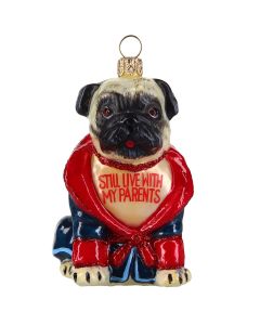 Pug Fawn in Bath Robe "Still Live with Parents" - NEW!