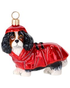 Cavalier King Tri Color in rain coat and hood - NEW!