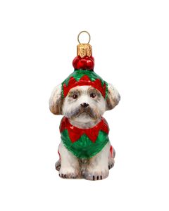 Shih Tzu in Elf Outfit-New For 2026!