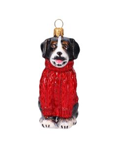 Bernese Mountain Dog in Aran Sweater-New For 2026!