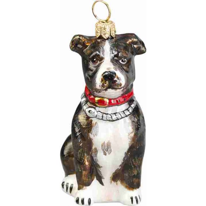 American Staffordshire Terrier Brindle